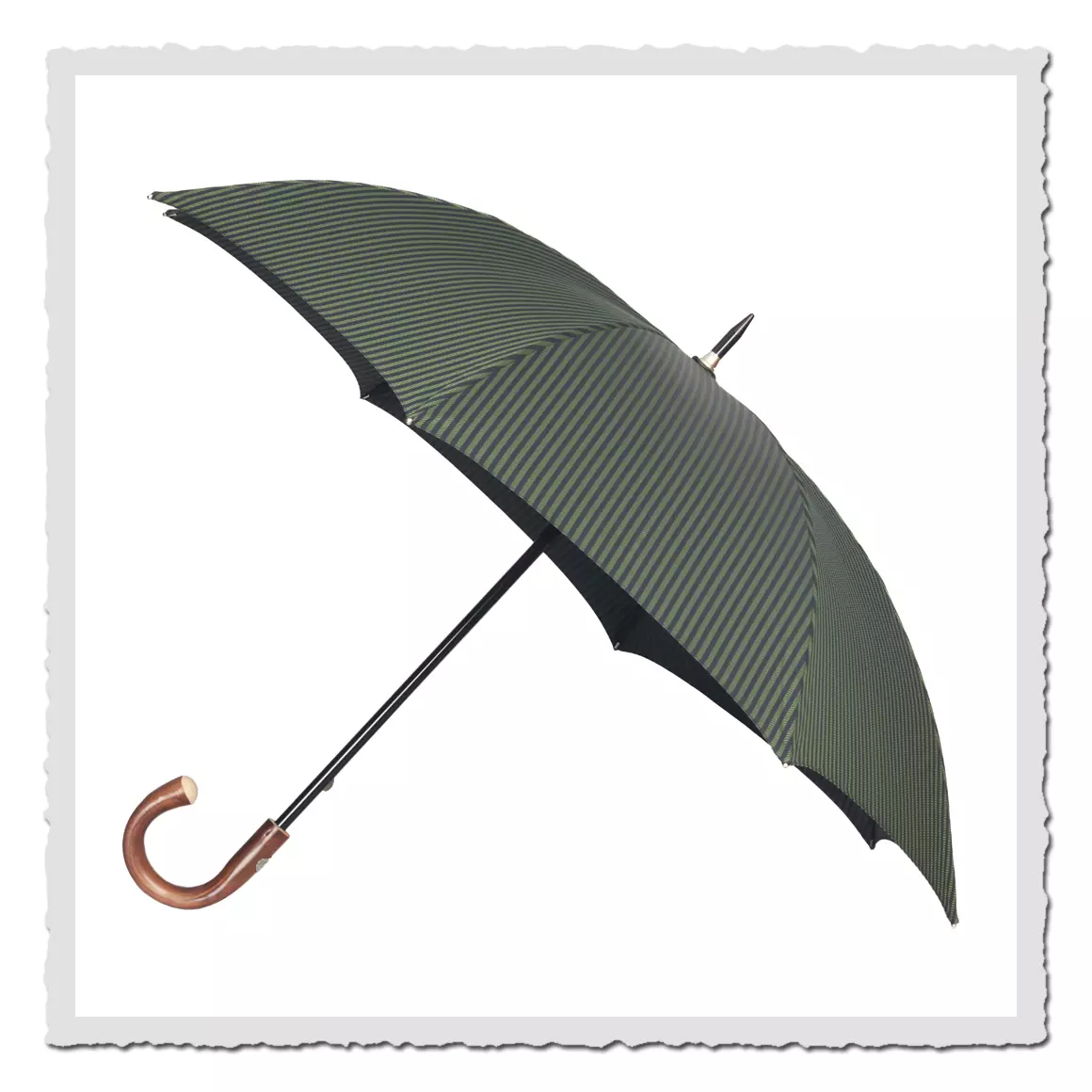 Regenschirm Fox moos/navy